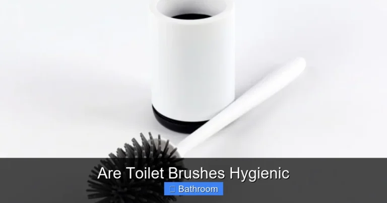 Are Toilet Brushes Hygienic
