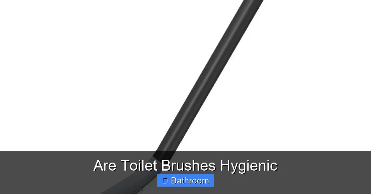 Are Toilet Brushes Hygienic