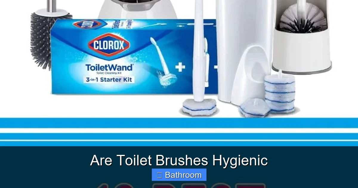 Are Toilet Brushes Hygienic