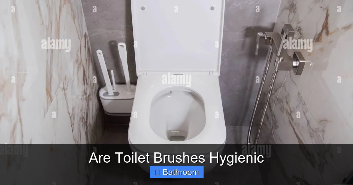 Are Toilet Brushes Hygienic