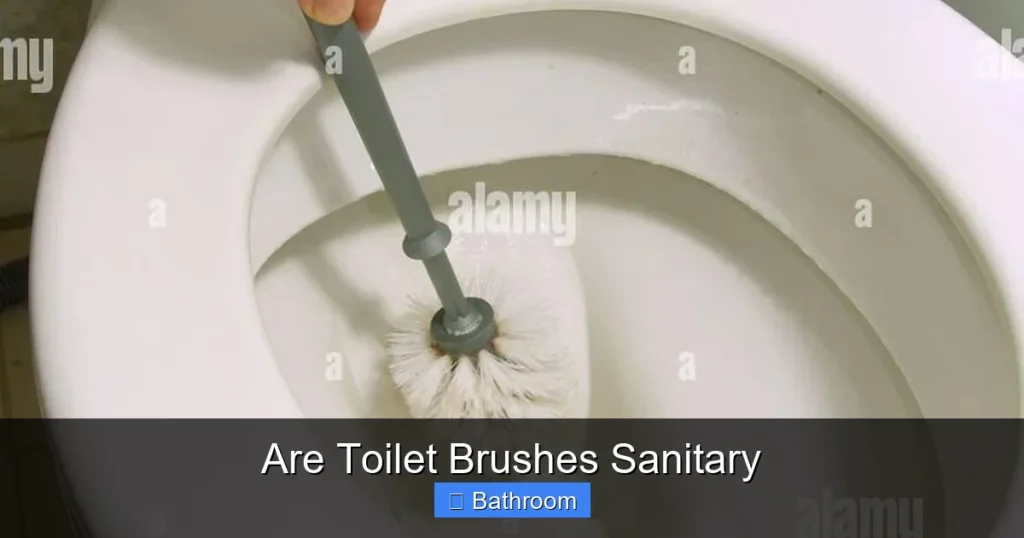 Are Toilet Brushes Sanitary