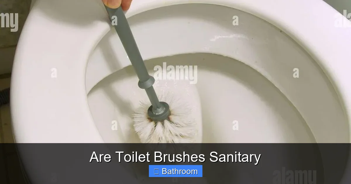 Are Toilet Brushes Sanitary