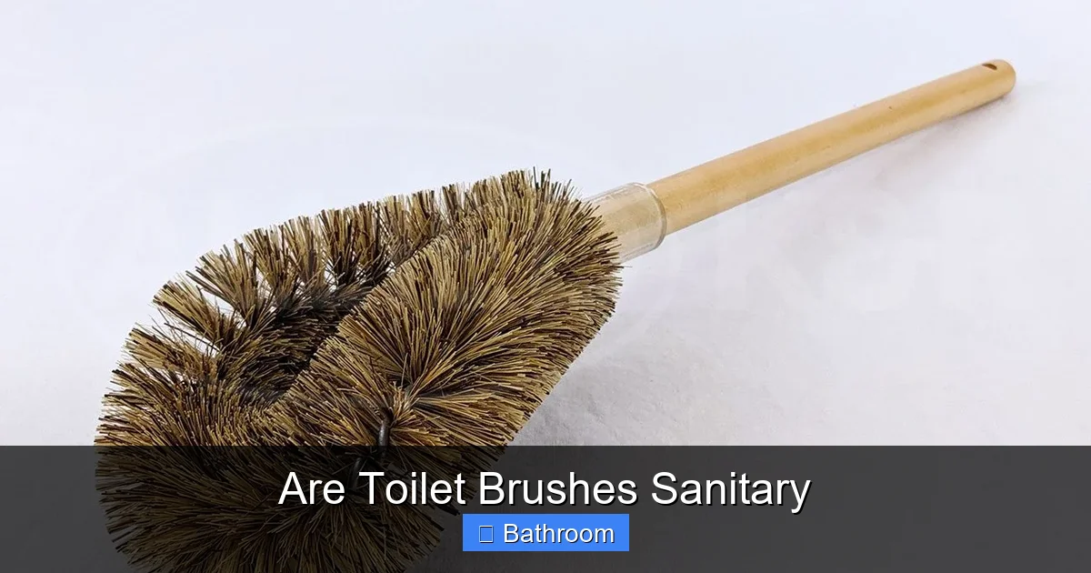 Are Toilet Brushes Sanitary