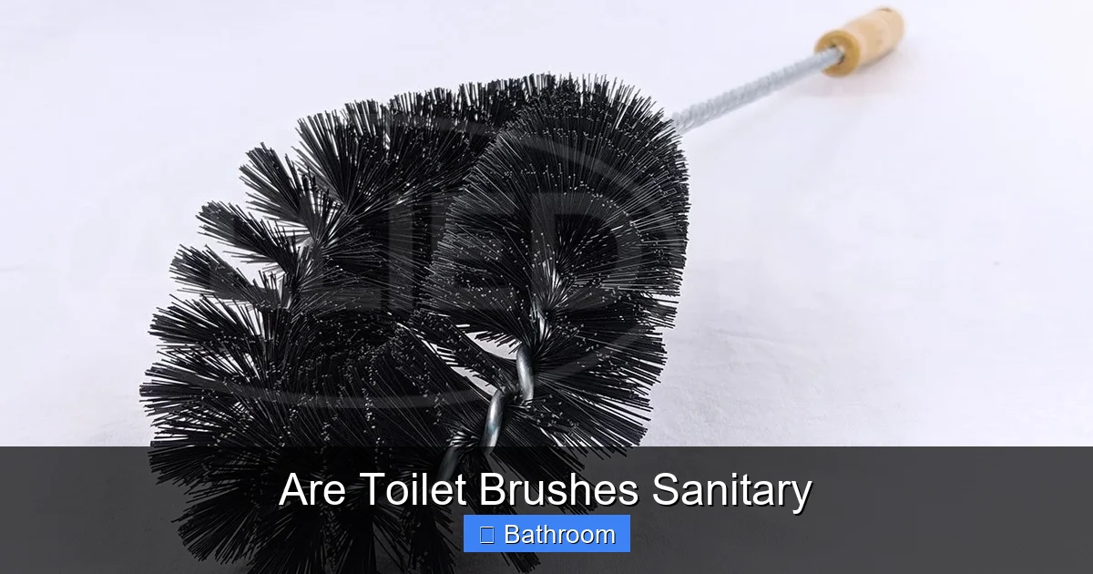 Are Toilet Brushes Sanitary