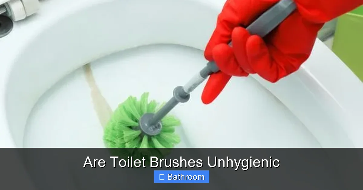 Are Toilet Brushes Unhygienic