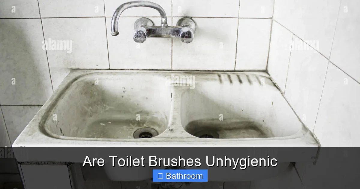 Are Toilet Brushes Unhygienic