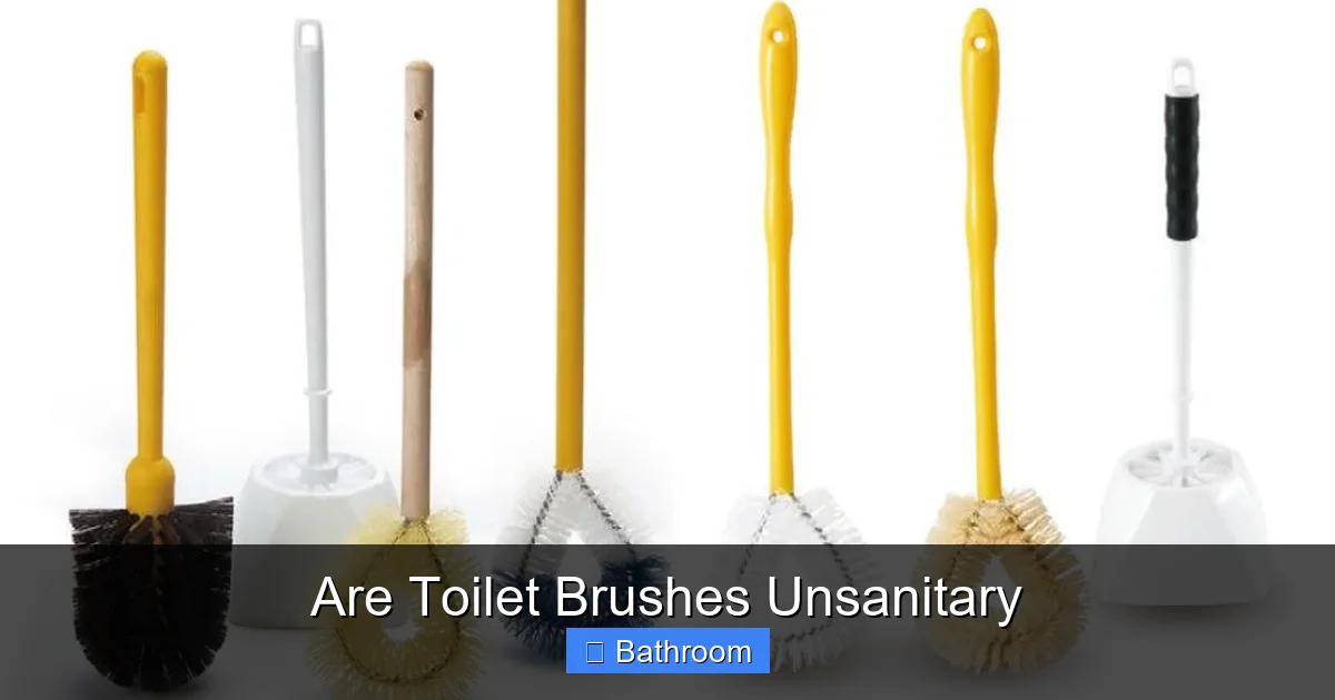 Are Toilet Brushes Unsanitary