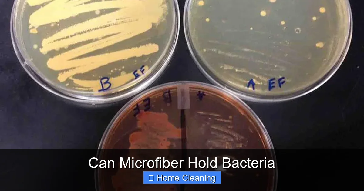 Can Microfiber Hold Bacteria