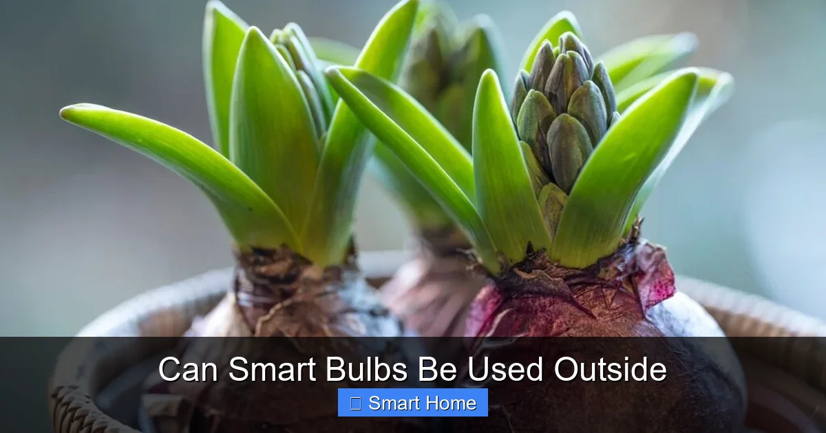 Can Smart Bulbs Be Used Outside