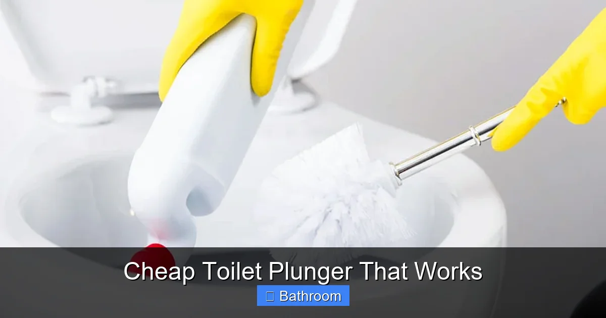 Cheap Toilet Plunger That Works