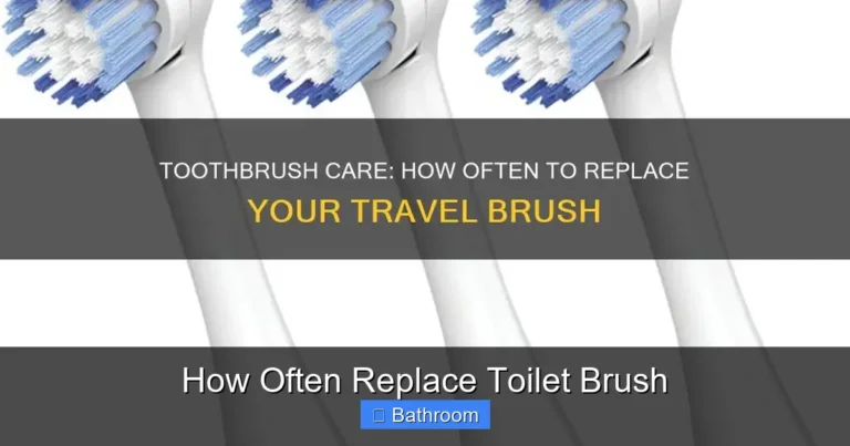 How Often Replace Toilet Brush