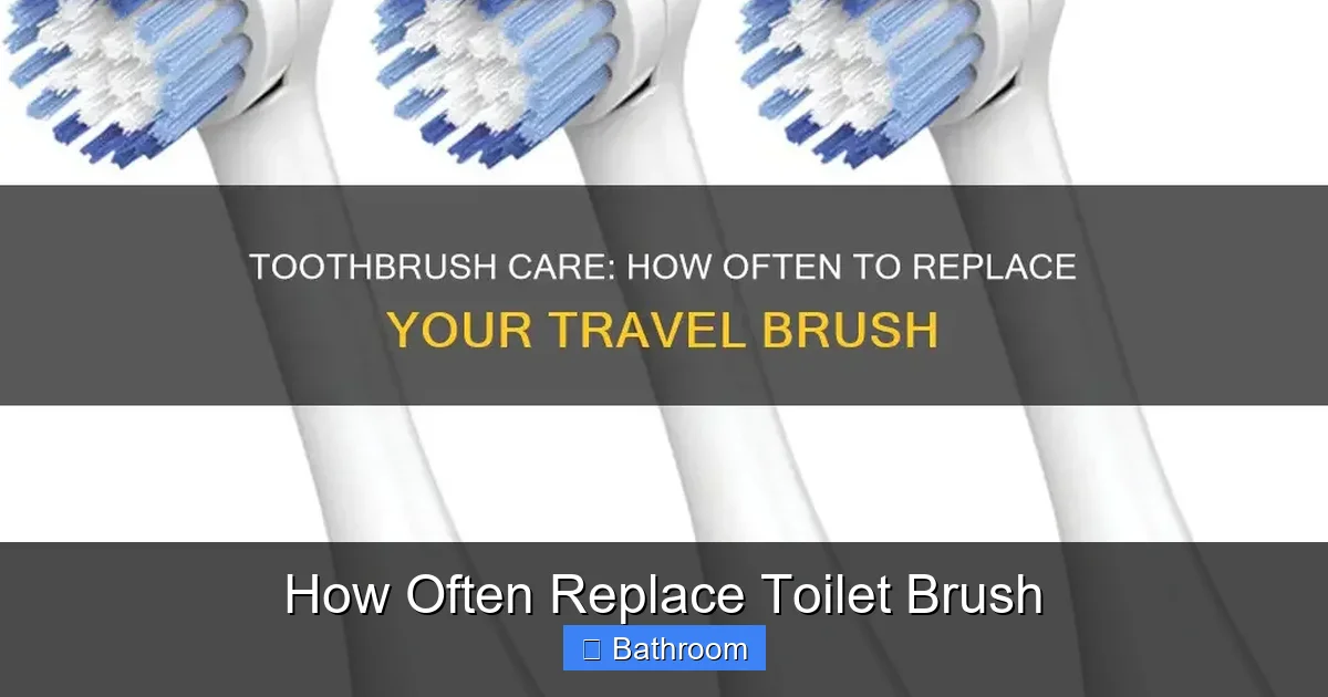 How Often Replace Toilet Brush