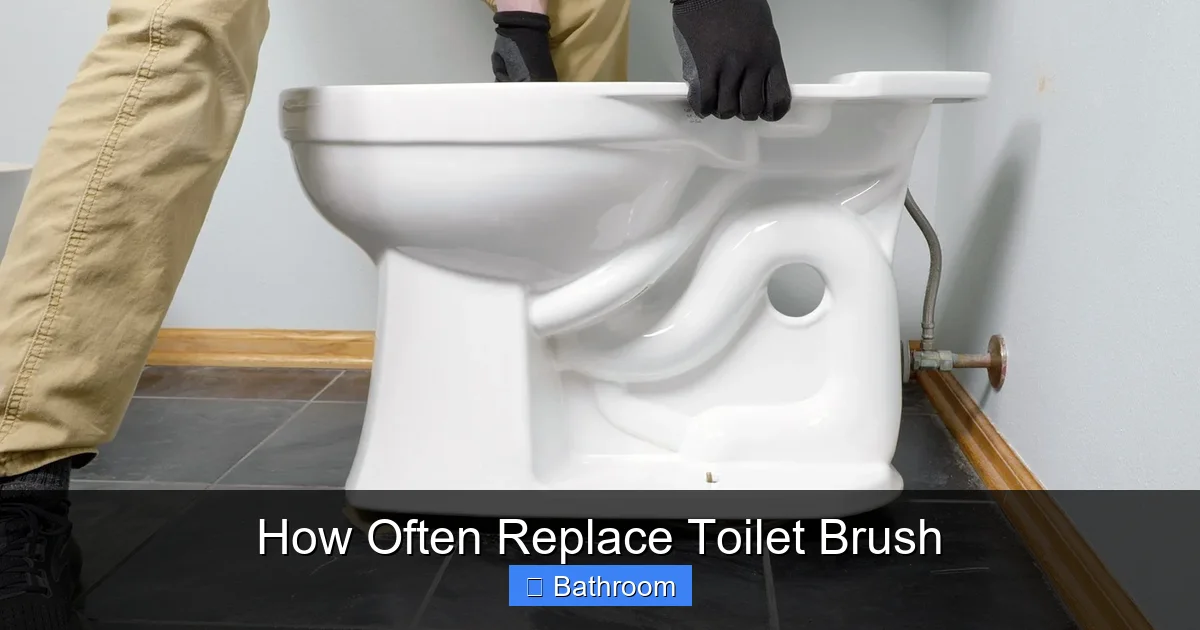 How Often Replace Toilet Brush