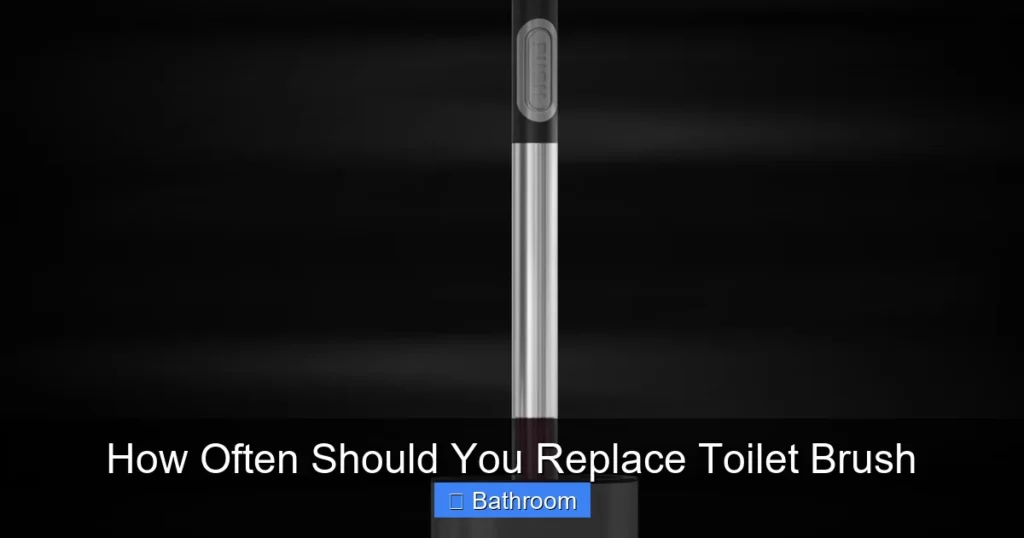 How Often Should You Replace Toilet Brush