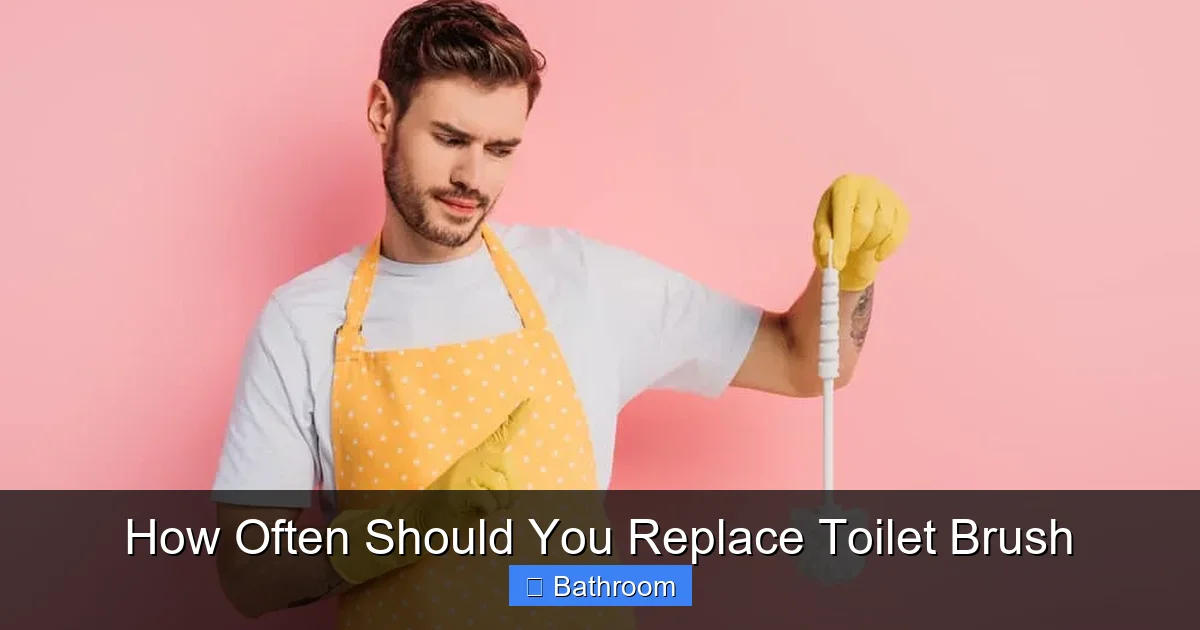 How Often Should You Replace Toilet Brush