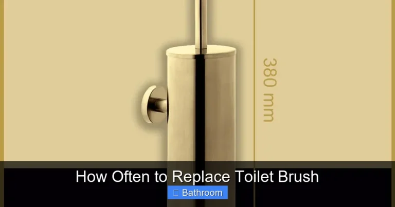How Often to Replace Toilet Brush