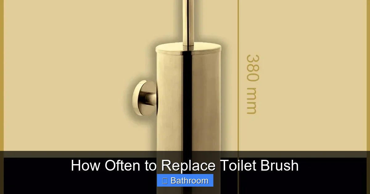 How Often to Replace Toilet Brush