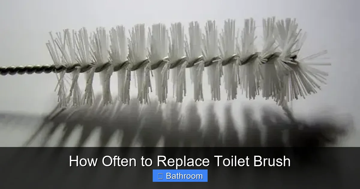 How Often to Replace Toilet Brush