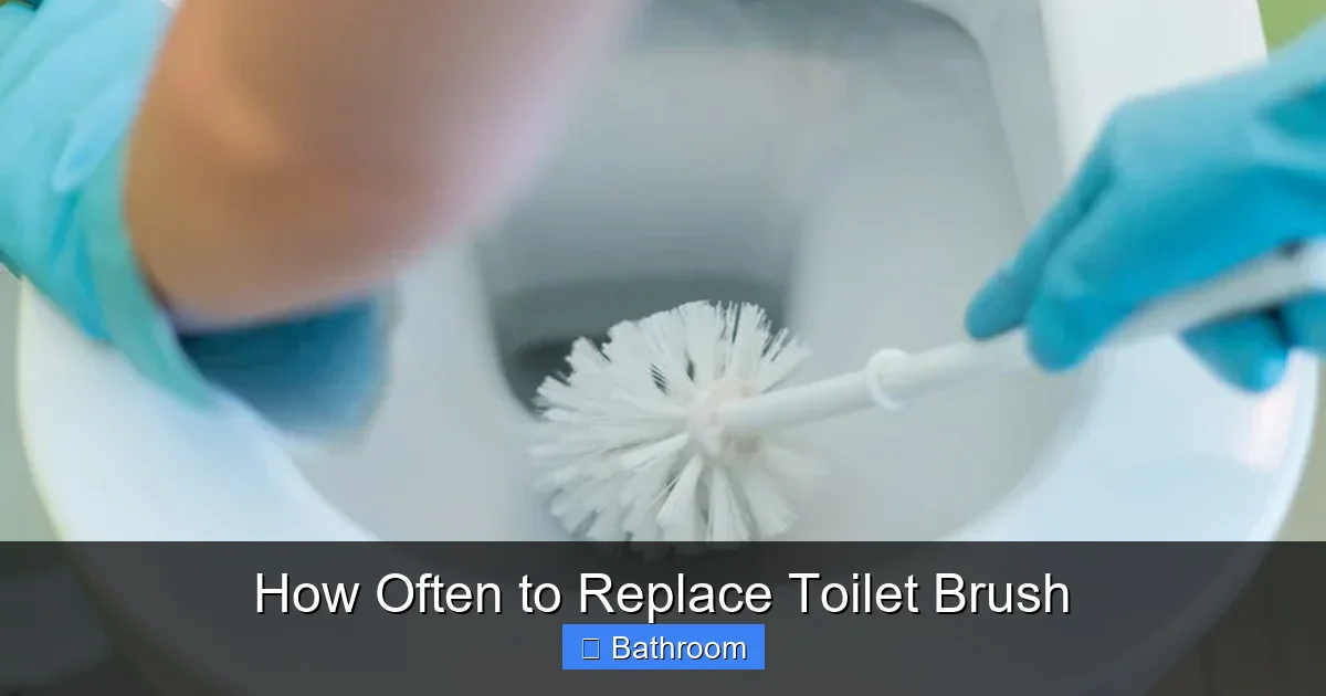 How Often to Replace Toilet Brush