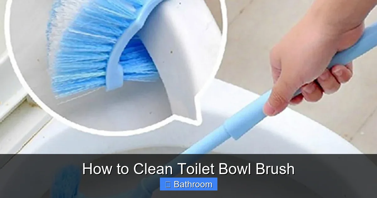 How to Clean Toilet Bowl Brush