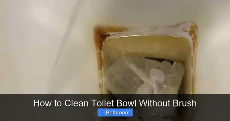 How to Clean Toilet Bowl Without Brush