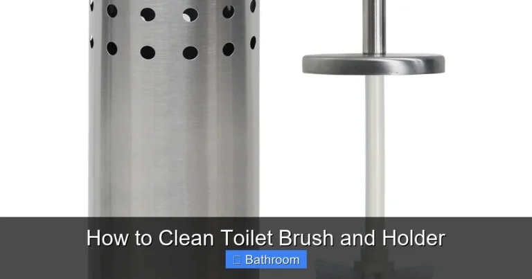 How to Clean Toilet Brush and Holder