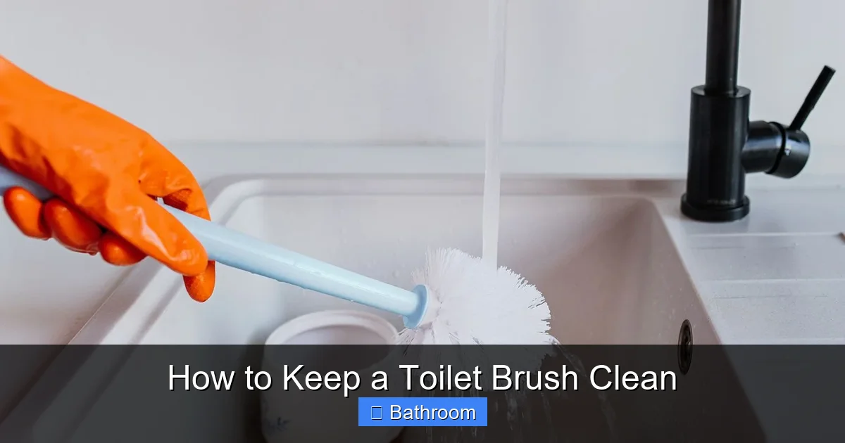 How to Keep a Toilet Brush Clean