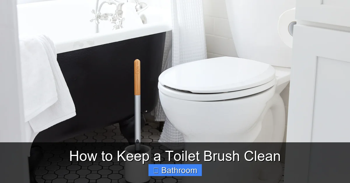 How to Keep a Toilet Brush Clean