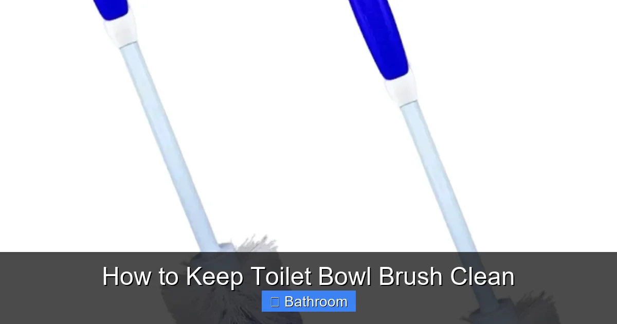 How to Keep Toilet Bowl Brush Clean