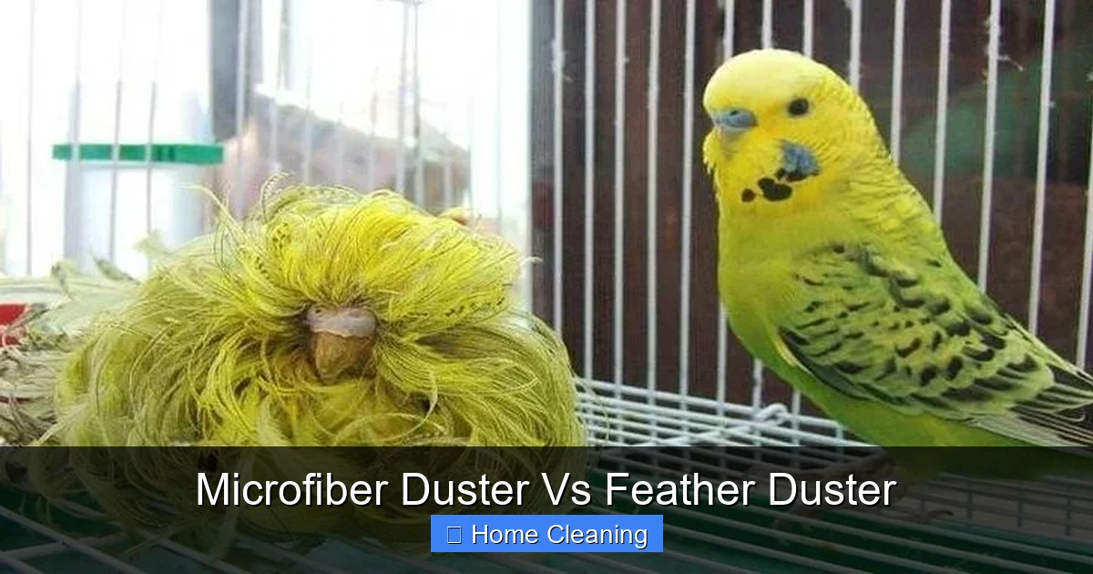 Microfiber Duster Vs Feather Duster