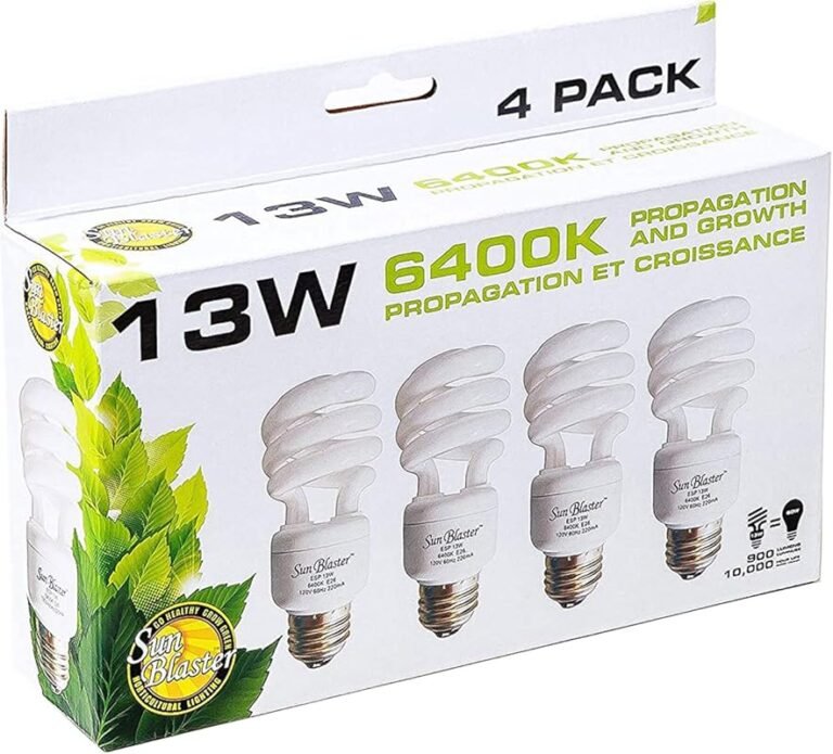 Top 10 Best Plants For Fluorescent Lights – Expert Tested for 2026