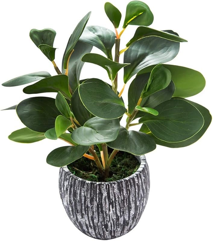 AlphaAcc Fiddle Leaf Fig Artificial Plant with Black Cement Planter fo
