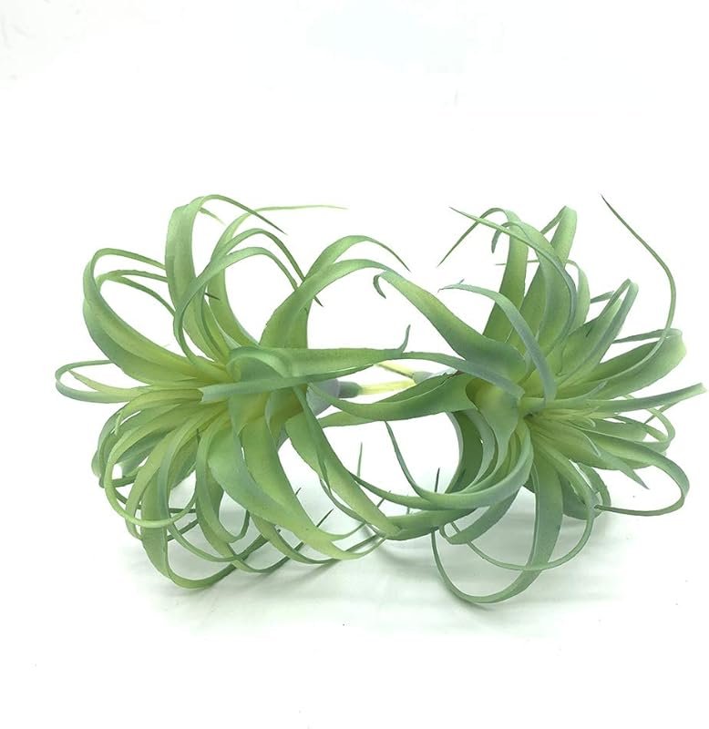 2 Pack Realistic Artificial Succulents – Touch-Lifelike Faux Air Plant