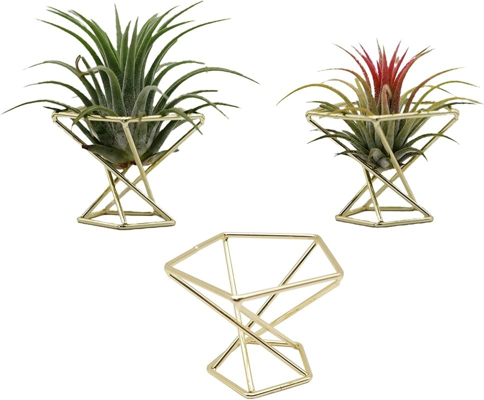 Geometric Metal Air Plant Rack for Desk and Home Decor (Gold, 3-Pack)