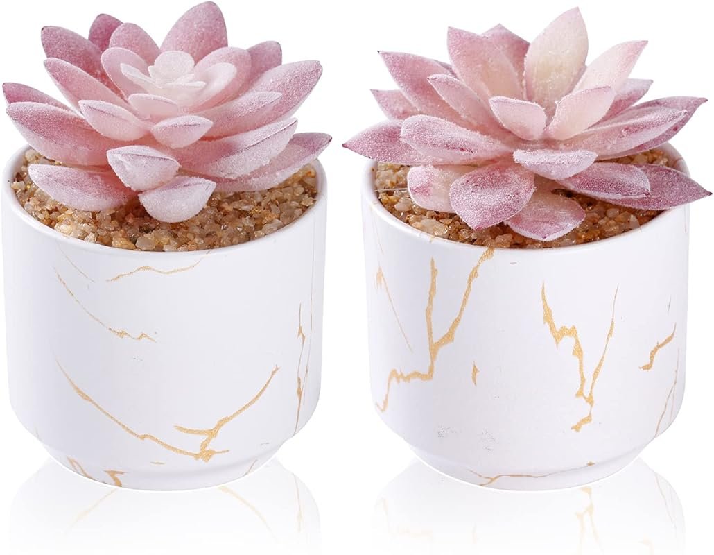 Artificial Plants and Succulents in 2 White Ceramic Pots,Small Fake Pl