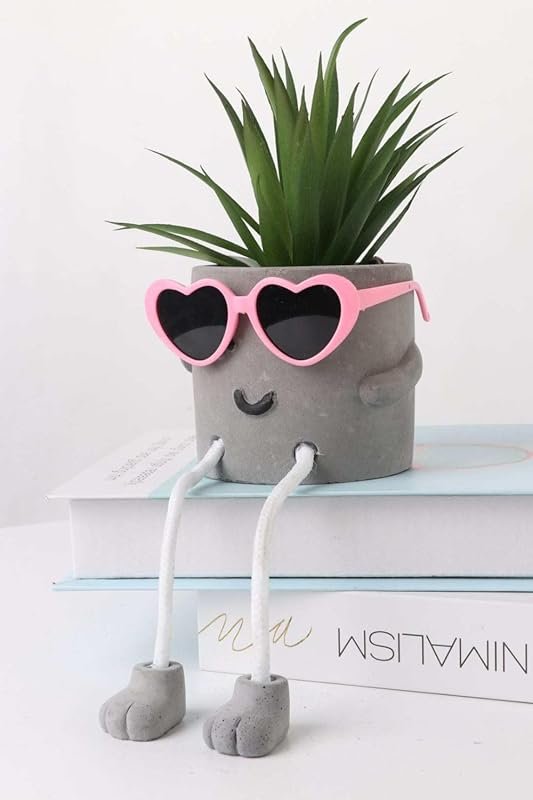 Zen home small faux succulent plant for shelf or desk with minimalist