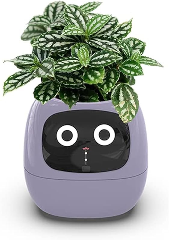 Smart Flowerpots,Smart Pet Planter,Ai Planter,Intelligent Flowerpots,M