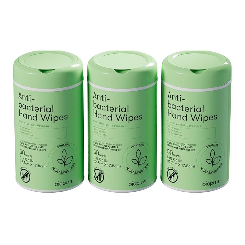Biopure Fresh Morning Breeze Antibacterial Hand Wipes – Aloe and Vitam