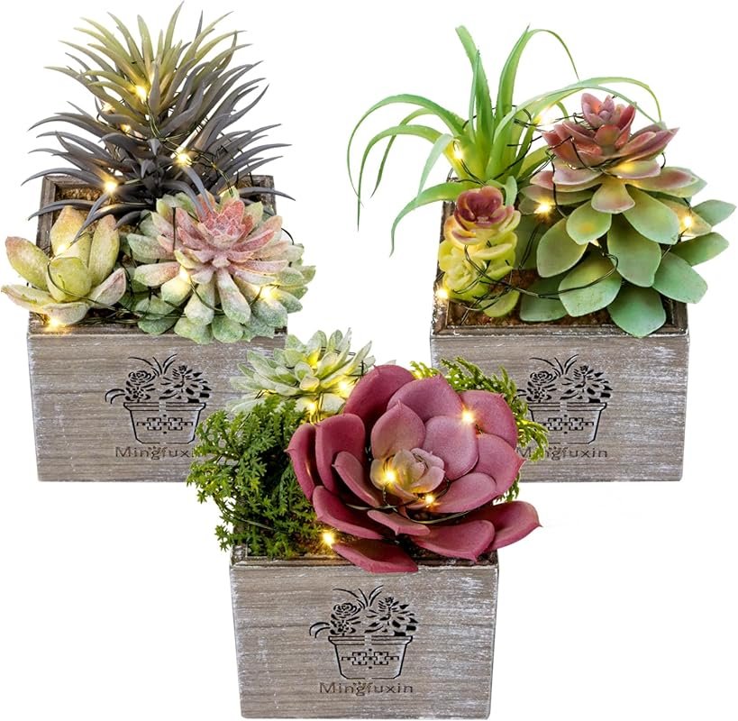3-pack mini artificial succulents with LED lights for indoor desk or b