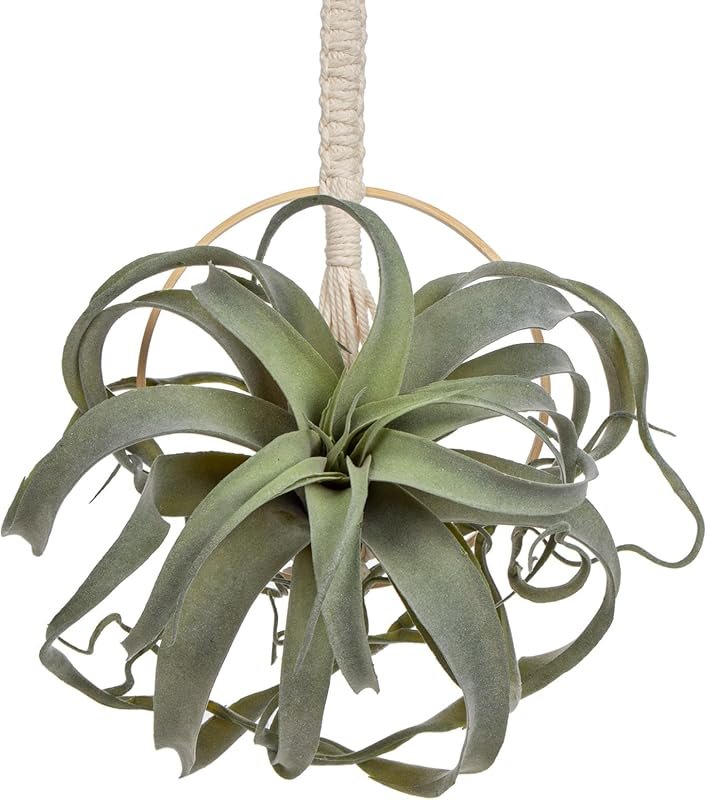11-Inch Artificial Hanging Air Plant – Realistic Faux Succulent for In