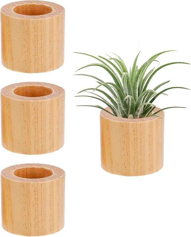 Bigmeta 3 Pcs Wood Air Plant Holder, 1.4
