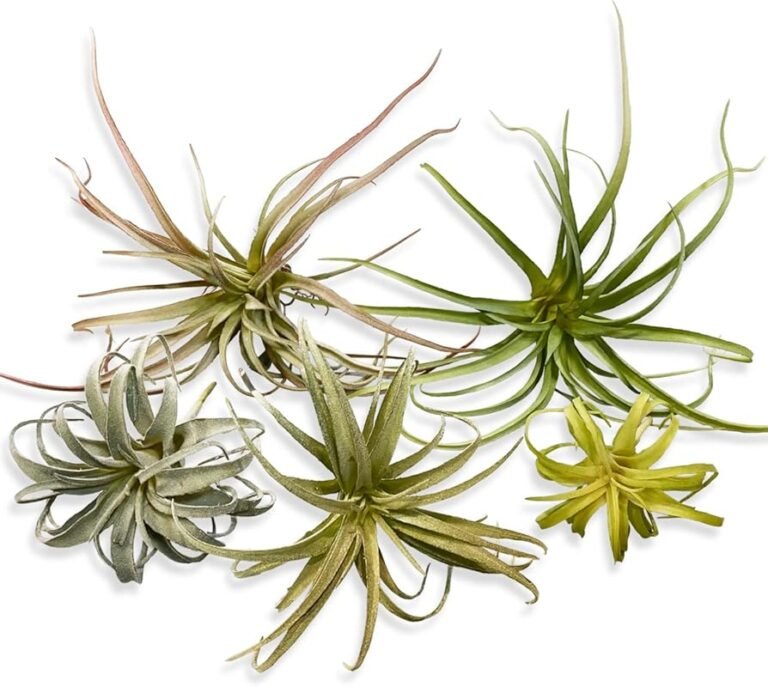 Top 10 Best Office Plants for Air Quality in 2026 – Expert Picks