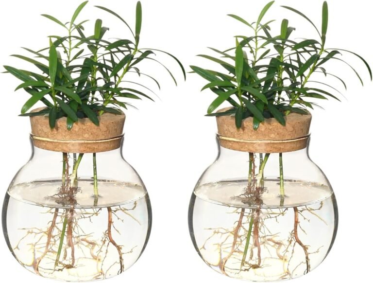 3 Best Plants To Grow In Office