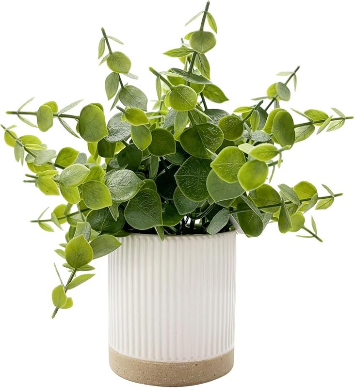9.5-inch artificial eucalyptus plant with ceramic pot for desk and win