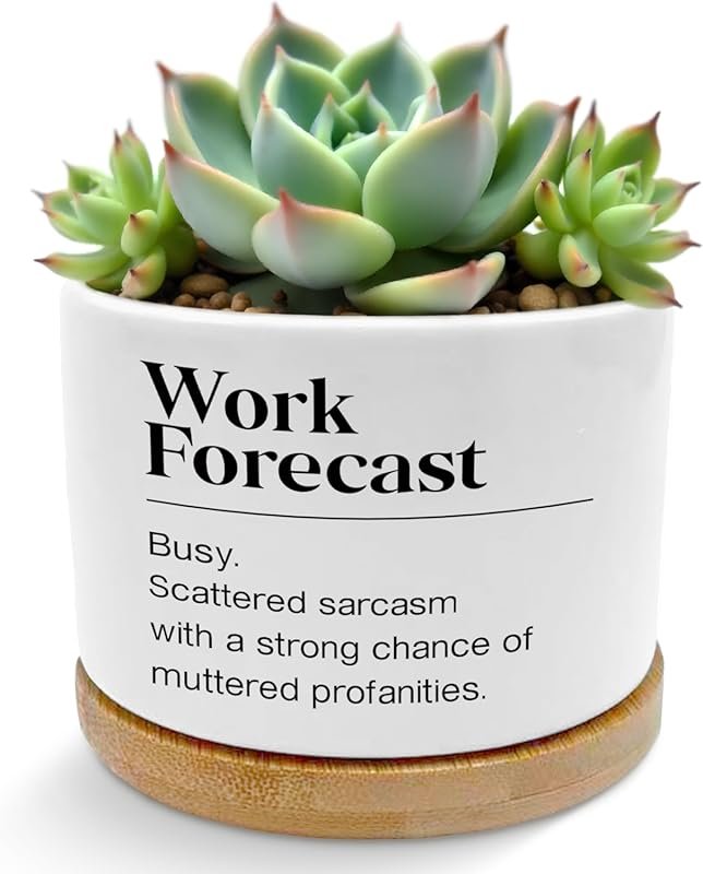 Funny work forecast plant pot for office humor gifts and coworker appr
