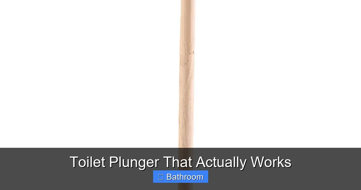 Toilet Plunger That Actually Works
