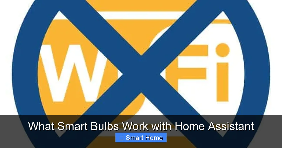 What Smart Bulbs Work with Home Assistant