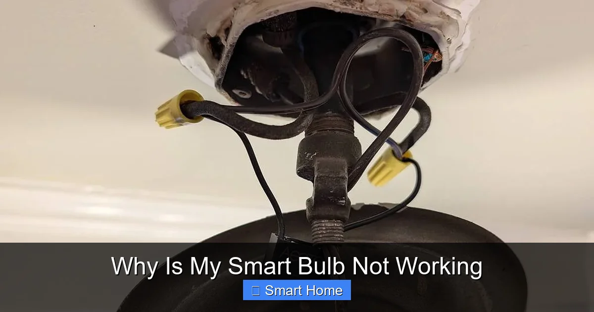Why Is My Smart Bulb Not Working