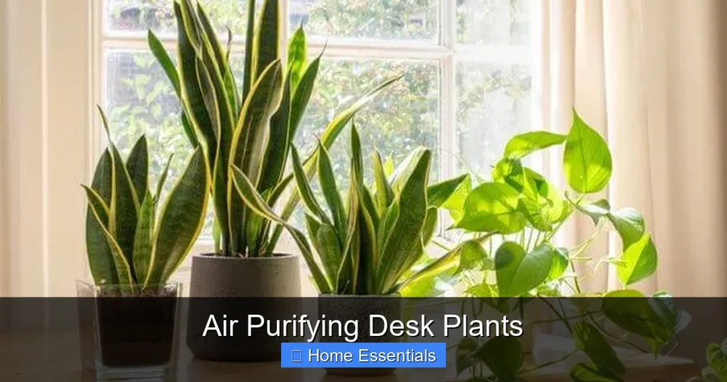 Air Purifying Desk Plants