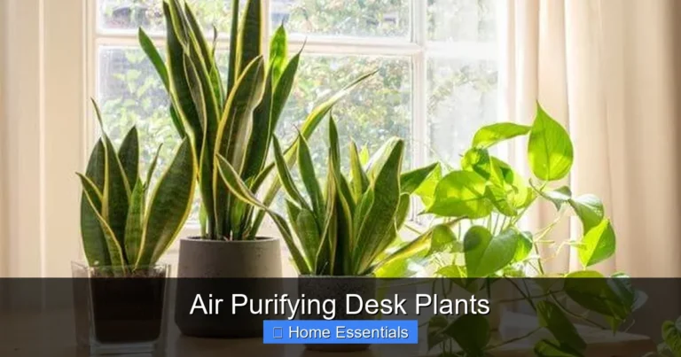 Air Purifying Desk Plants
